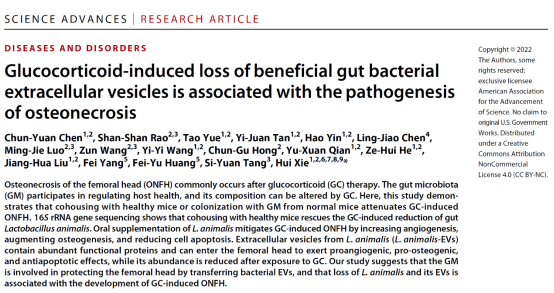 肠道菌与骨坏死-Sci Adv-通讯稿497.png